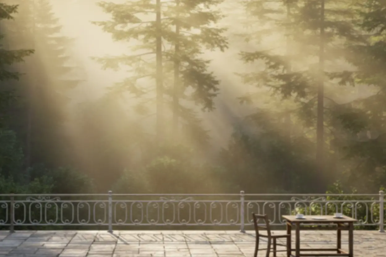 Mist in the forest
